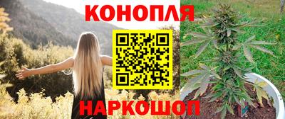 стаф Малоярославец