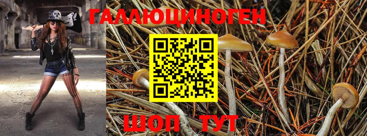 Галлюциногенные грибы GOLDEN TEACHER Вологда